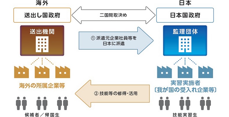 団体監理型